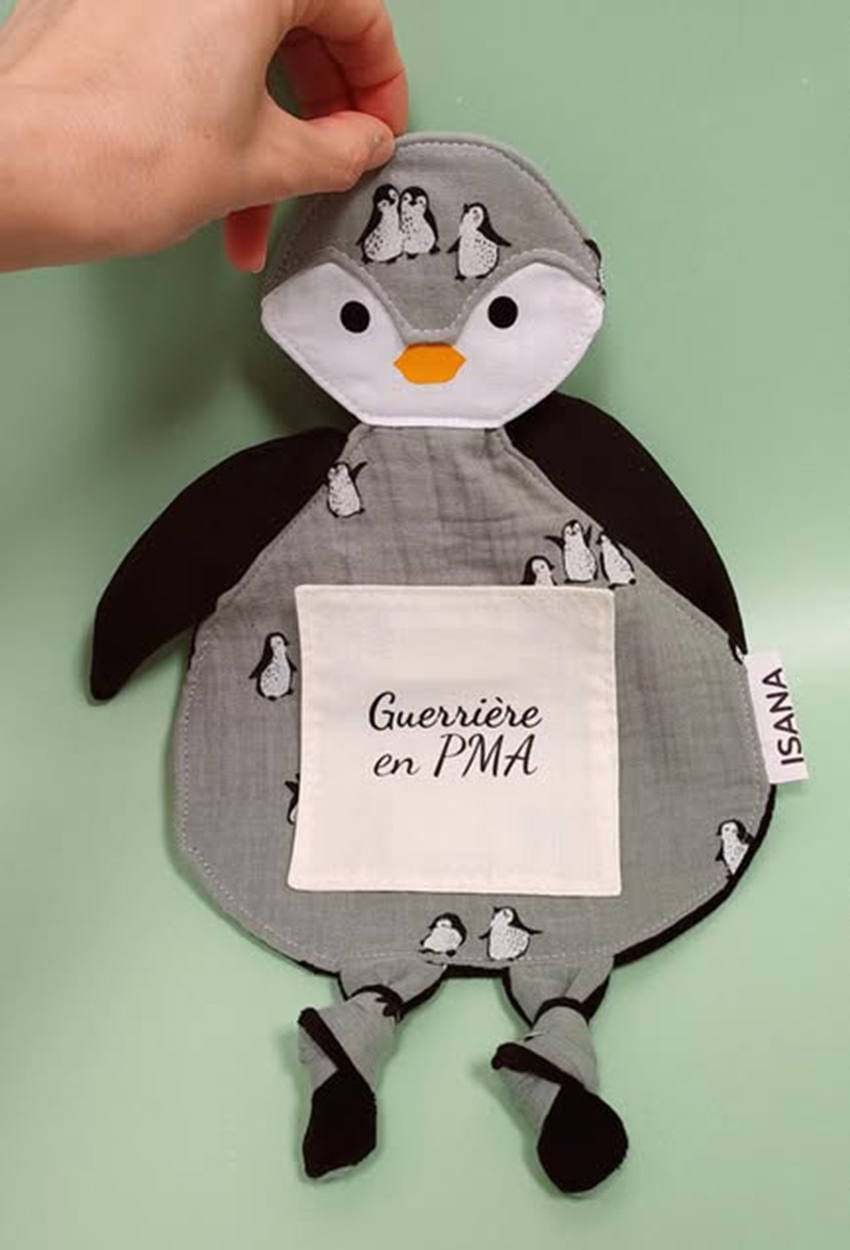 doudou-etapes-pingouin-motif-vert