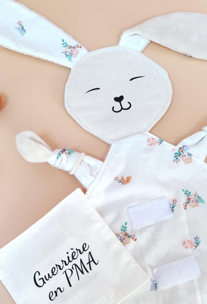 doudou-etapes-pma-lapin-carte-etape