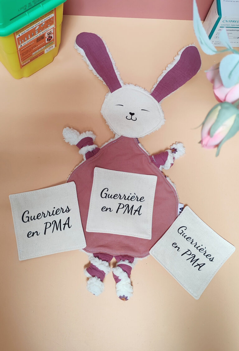 Doudou étapes lapin et ses cartes étapes PMA